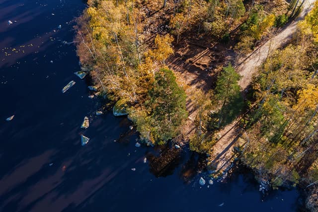 Earthbound community